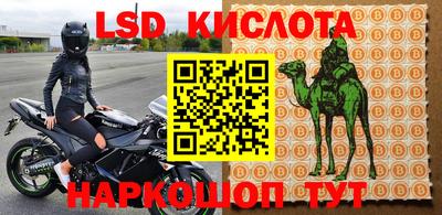 стаф Кунгур