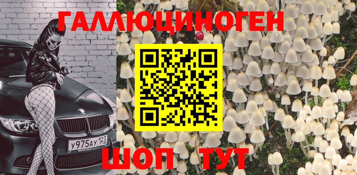Шелехов  Псилоцибиновые грибы Psilocybine cubensis  Вход с VPN 